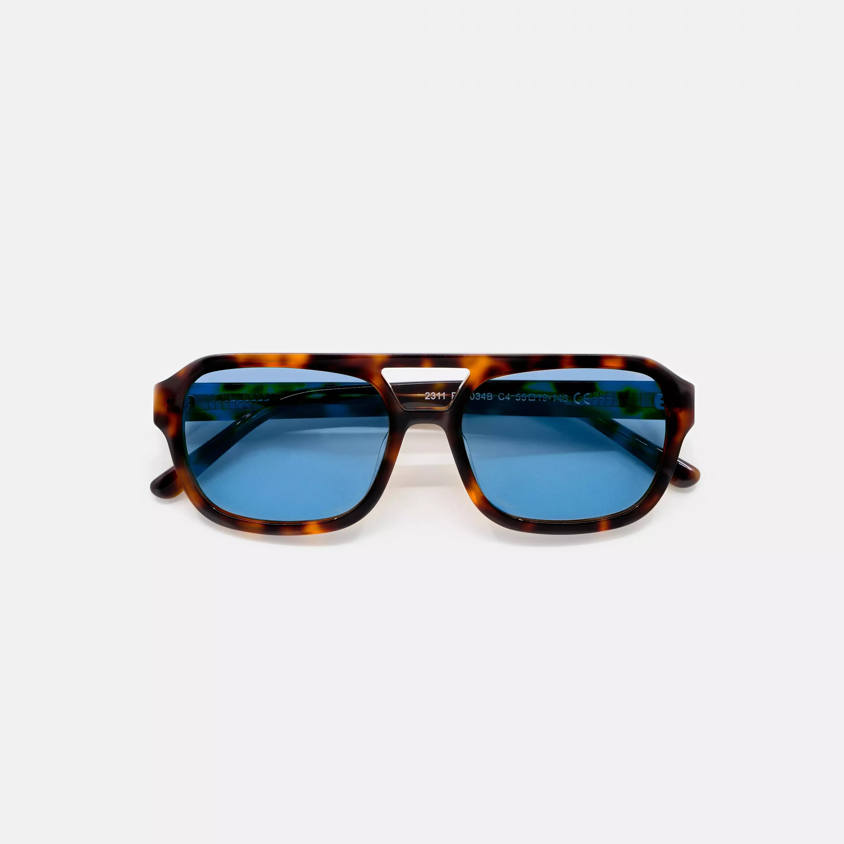 DANA | Leopardo del océano